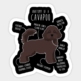 Chocolate Cavapoo Dog Anatomy Sticker